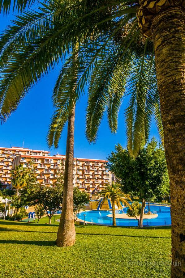 102 Estudio En Jupiter Apartmentos - Piscina Y Playa - Excelente Ubicacion Benalmádena Eksteriør billede